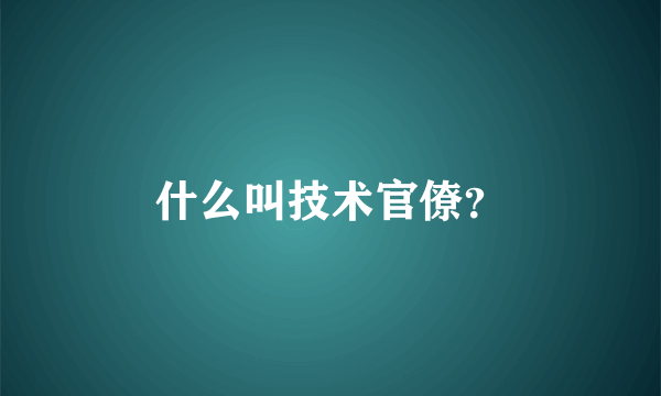 什么叫技术官僚？