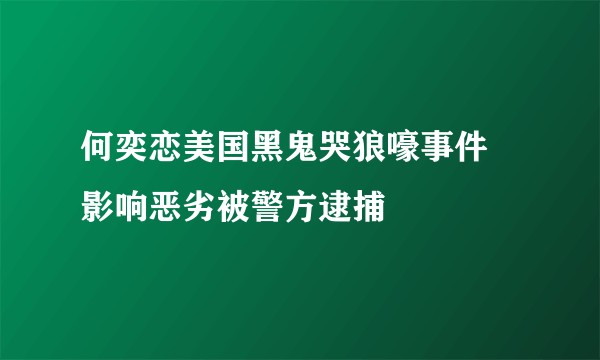 何奕恋美国黑鬼哭狼嚎事件 影响恶劣被警方逮捕