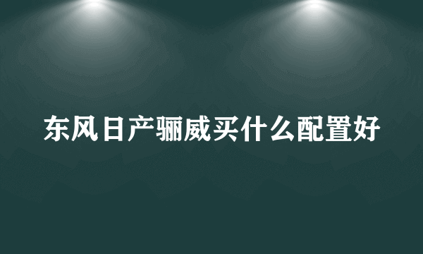 东风日产骊威买什么配置好