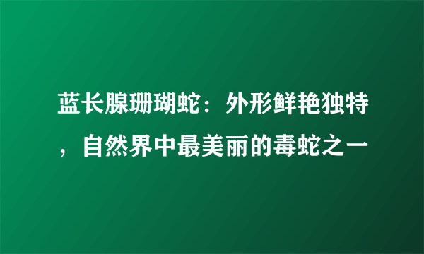 蓝长腺珊瑚蛇：外形鲜艳独特，自然界中最美丽的毒蛇之一