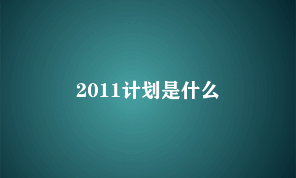 2011计划是什么