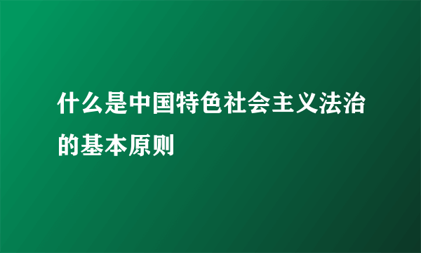 什么是中国特色社会主义法治的基本原则