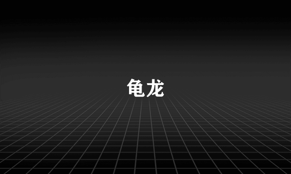 龟龙