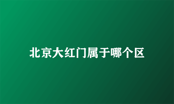 北京大红门属于哪个区