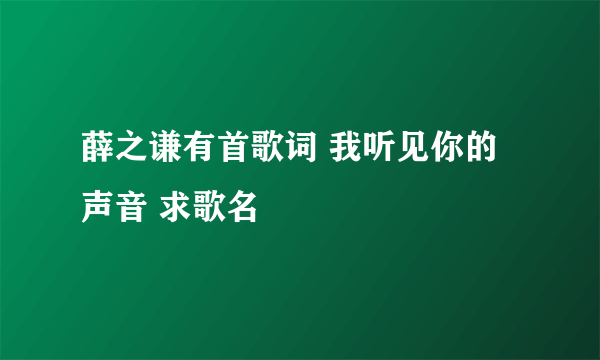 薛之谦有首歌词 我听见你的声音 求歌名