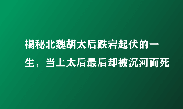 揭秘北魏胡太后跌宕起伏的一生，当上太后最后却被沉河而死