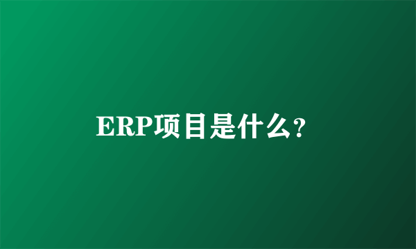 ERP项目是什么？