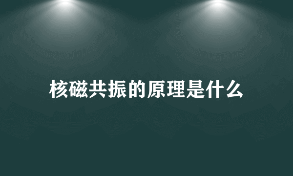 核磁共振的原理是什么