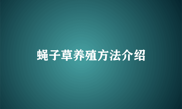 蝇子草养殖方法介绍