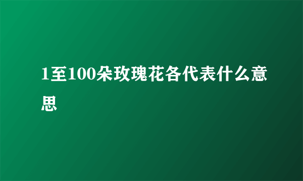 1至100朵玫瑰花各代表什么意思