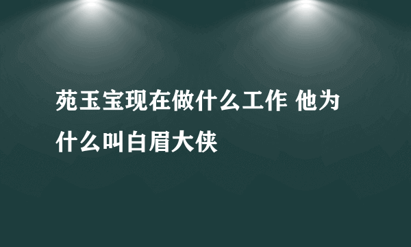 苑玉宝现在做什么工作 他为什么叫白眉大侠