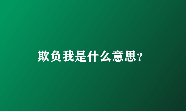 欺负我是什么意思？