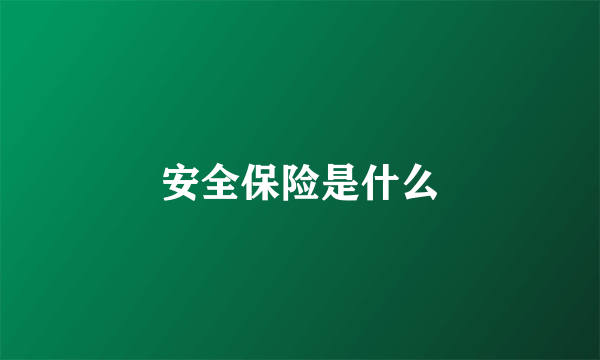 安全保险是什么