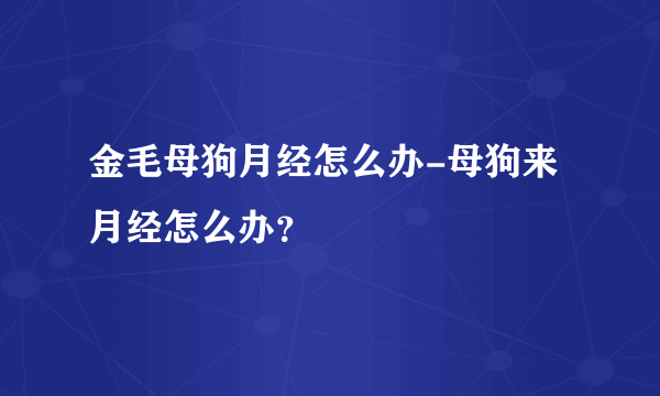 金毛母狗月经怎么办-母狗来月经怎么办？