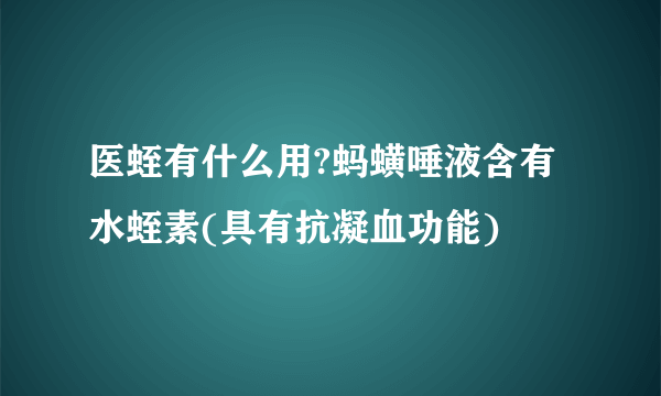 医蛭有什么用?蚂蟥唾液含有水蛭素(具有抗凝血功能)