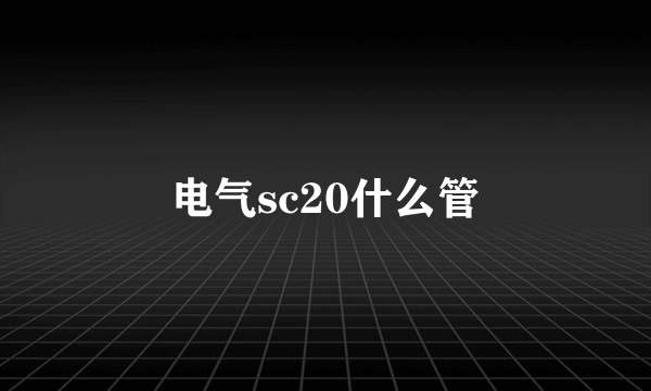 电气sc20什么管