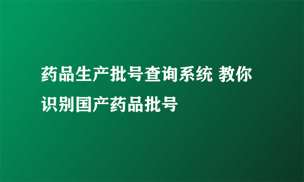 药品生产批号查询系统 教你识别国产药品批号