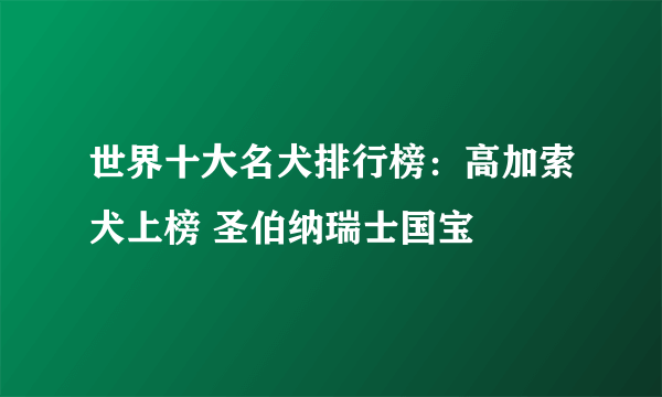 世界十大名犬排行榜：高加索犬上榜 圣伯纳瑞士国宝