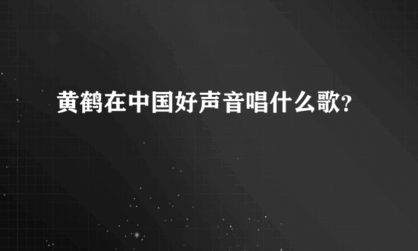 黄鹤在中国好声音唱什么歌？