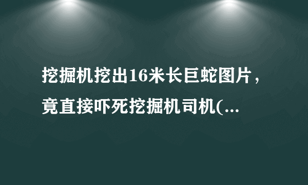 挖掘机挖出16米长巨蛇图片，竟直接吓死挖掘机司机(附图片)—飞外