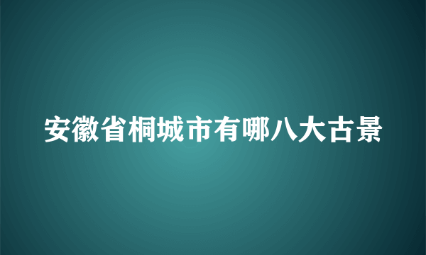 安徽省桐城市有哪八大古景