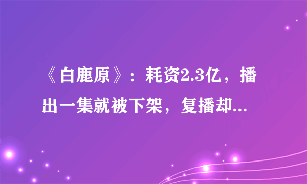 《白鹿原》：耗资2.3亿，播出一集就被下架，复播却依旧成为经典