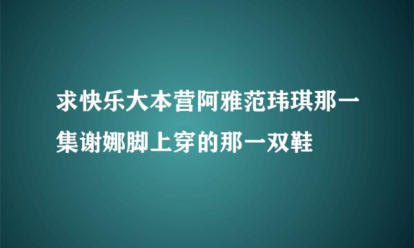 求快乐大本营阿雅范玮琪那一集谢娜脚上穿的那一双鞋