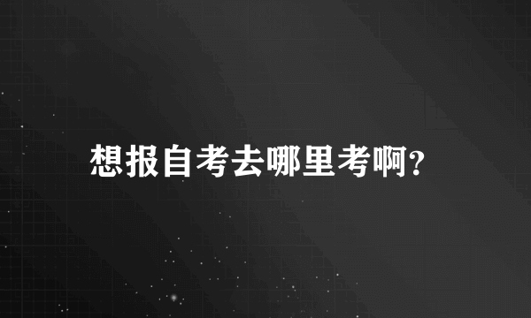 想报自考去哪里考啊？