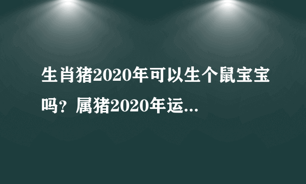 生肖猪2020年可以生个鼠宝宝吗？属猪2020年运势好不好？