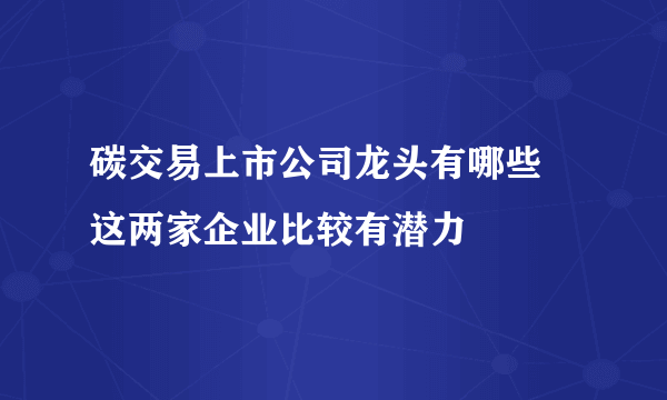 碳交易上市公司龙头有哪些 这两家企业比较有潜力