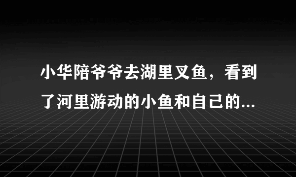 小华陪爷爷去湖里叉鱼，看到了河里游动的小鱼和自己的倒影，根据这个情景回答如下问题：（1）小华看到“鱼”的比实际位置___了（升高$/$降低)，这是光的___现象造成的.若小华将电筒光对着看到的“鱼”射入$,$___(能$/$不能）照亮鱼.（2）小华看到自己的倒影是___像（实$/$虚)，如果小华到水面的距离是$2m$则像到水面的距离___$2m($大于$/$小于$/$等于$/)$.（3）爷爷用桨向后划水，小船就向前运动，这说明＿＿＿.