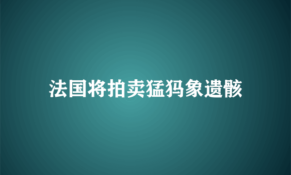 法国将拍卖猛犸象遗骸