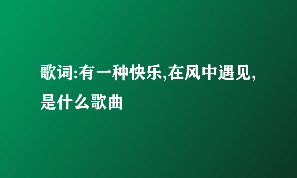 歌词:有一种快乐,在风中遇见,是什么歌曲