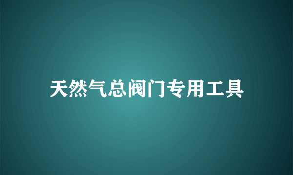 天然气总阀门专用工具