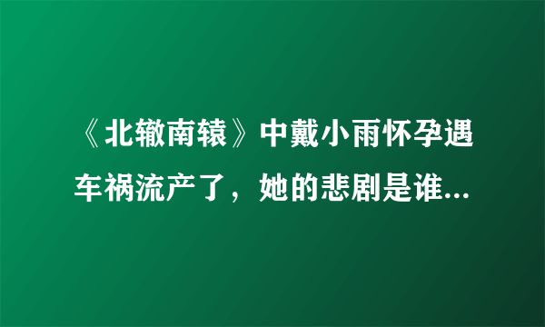 《北辙南辕》中戴小雨怀孕遇车祸流产了，她的悲剧是谁造成的？