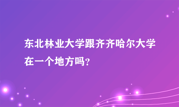 东北林业大学跟齐齐哈尔大学在一个地方吗？