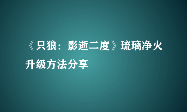 《只狼：影逝二度》琉璃净火升级方法分享