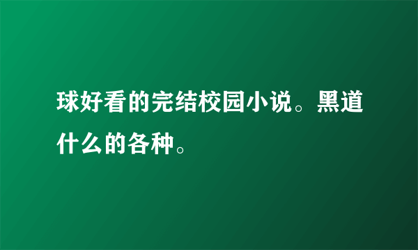 球好看的完结校园小说。黑道什么的各种。