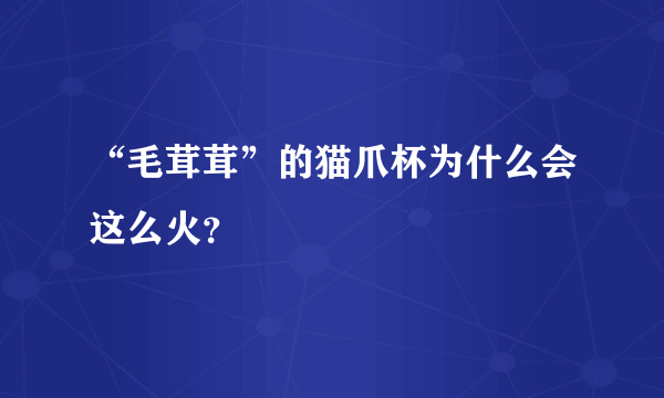 “毛茸茸”的猫爪杯为什么会这么火？