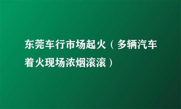 东莞车行市场起火（多辆汽车着火现场浓烟滚滚）