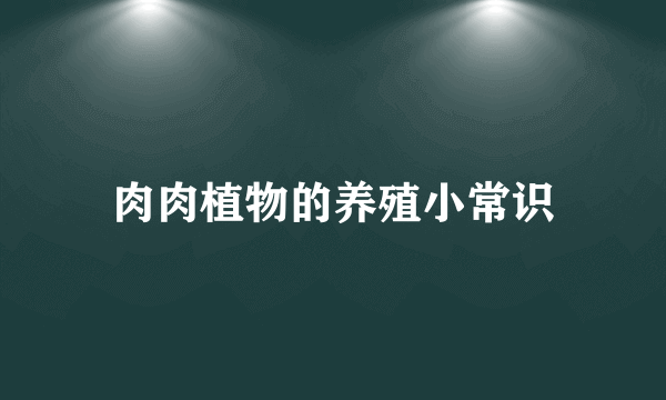 肉肉植物的养殖小常识