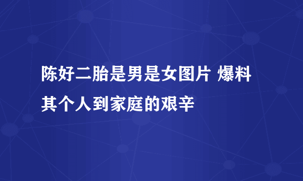 陈好二胎是男是女图片 爆料其个人到家庭的艰辛