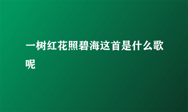 一树红花照碧海这首是什么歌呢