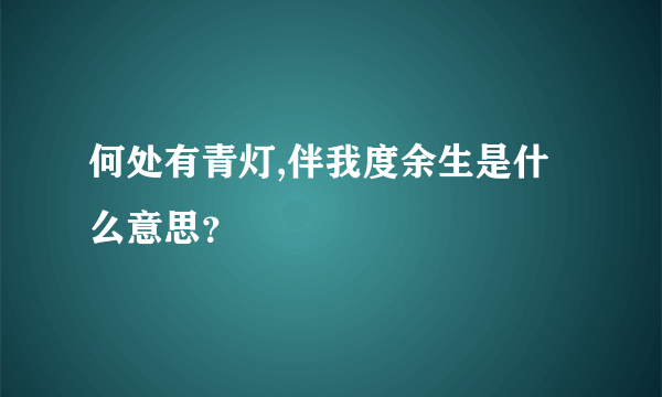 何处有青灯,伴我度余生是什么意思？