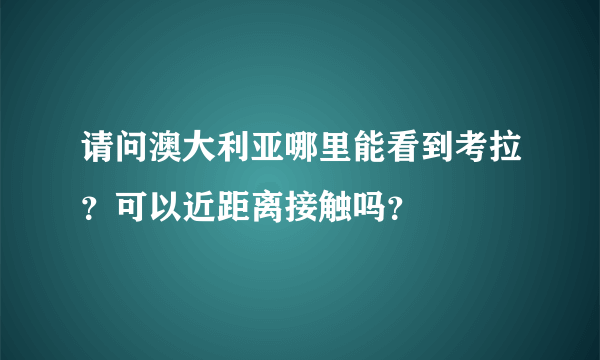 请问澳大利亚哪里能看到考拉？可以近距离接触吗？