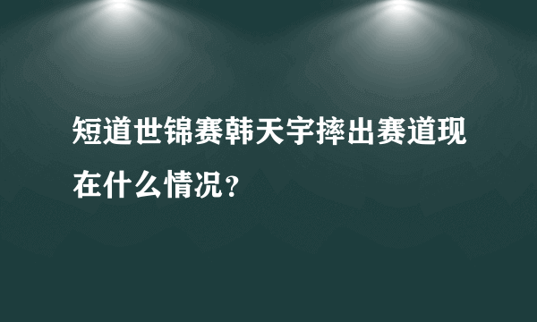 短道世锦赛韩天宇摔出赛道现在什么情况？