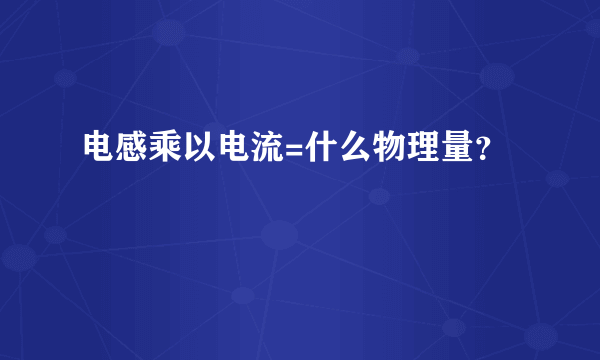 电感乘以电流=什么物理量？