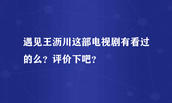 遇见王沥川这部电视剧有看过的么？评价下吧？