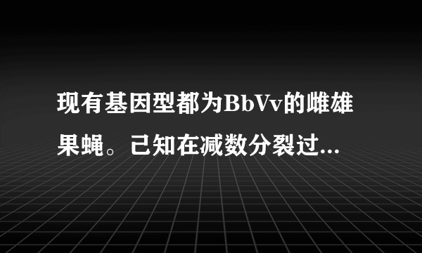 现有基因型都为BbVv的雌雄果蝇。己知在减数分裂过程中，雌果蝇会发生如图所示染色体行为，且发生该染色体行为的细胞比例为20%。下列叙述错误的是（　　）A.该图所示染色体行为发生在减数第一次分裂前期