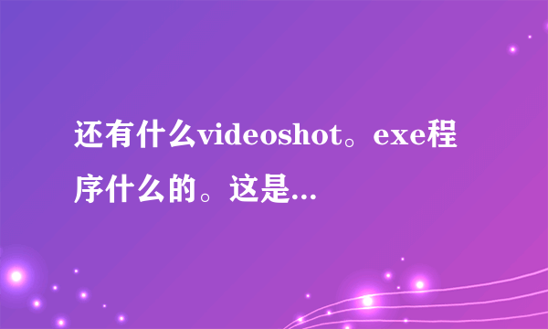 还有什么videoshot。exe程序什么的。这是什么东西？